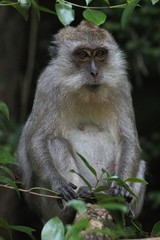 Obraz premium Koh Phangan Island, Thailand