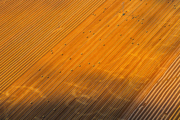 Germany, Bavaria, View of field, aerial view