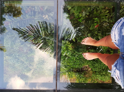Female legs standing on transparent bridge over green tropical trees. The girl or woman taking photo of her feet over jungles. Palm trees unger the bridge. Concept of travel, tourism