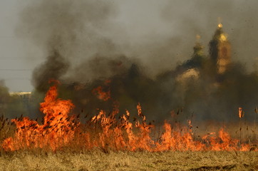 coastal zone of marsh creek, strong smoke from fire of liana overgrowth. Spring fires of dry reeds...