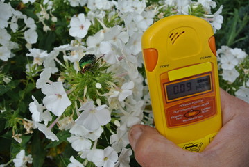 radiation measurer portable geiger counter for home and garden on flower background
