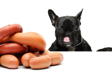the dog looks at a bunch of sausages. french bulldog and sausages. Funny portrait of a black bulldog. On white background
