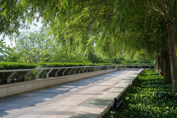 Rooftop terrace with trees and plants in Washington, DC 