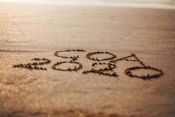 foamy sea water  and Inscription Goa on the sandy beach