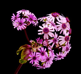 Developed using darktable 3.0.0