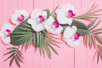 orchid flowers and exotic leaves on pink wooden background