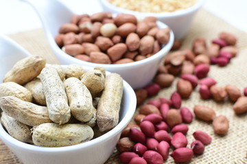 Dried peanuts (Arachis hypogaea) peanuts in shells, whole and chopped in containers