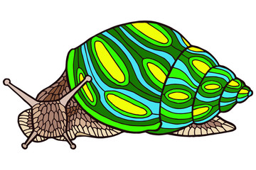Vector illustration Hand drawing snails. Isolated on white. Cute snail with a yellow-green shell. The original print. Illustration for the children's book.