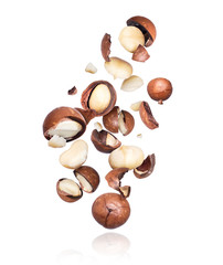 Group of macadamia nuts crushed in the air, isolated on white background