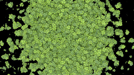 Green clover covering the screen. 3D rendering.