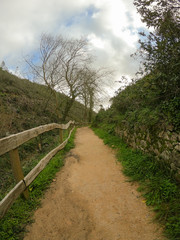 Fototapeta na wymiar Path in the countryside landscape