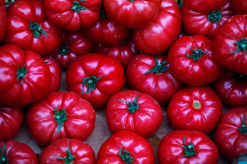 fresh organic pink tomatoes. vegetable and greengrocer department.