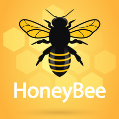 Organic honey and beeswax. Cute honey bee. Natural honey colorful flat.