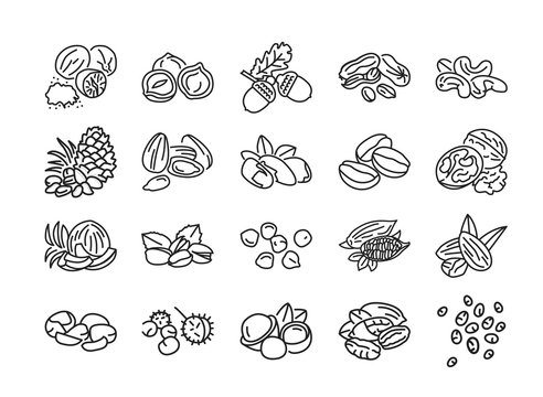 Nuts and seeds black line icons set. Nuts are the hard-shelled fruit of certain plants. Seeds are a small edible plant enclosed in a seed coat. Pictograms for web page, mobile app. Editable stroke.