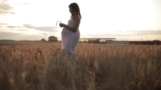 Stock footage of an attractive pregnant woman in white summer dress running in the gold field of rye in bright sunlight in the evening.