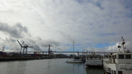 boats in the harbor