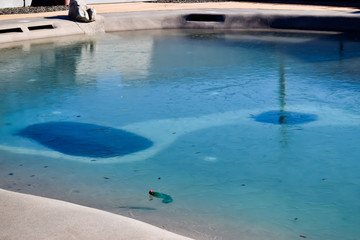 small pool of blue frozen water on sunny winter day and green plastic bottle in it 