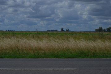 Ruta