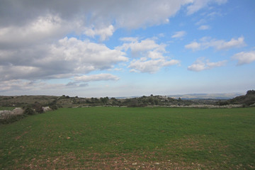 Obraz premium Campo verde