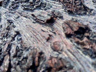 Close up wooden natural texture background. Old wood texture for add text, quotes or work design for backdrop product.
