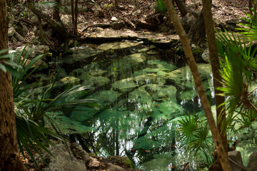 Quintana Roo,  Riviera Maya / Mexico - Apr 2017 The Cenote Azul 