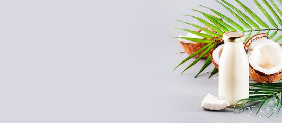 Coconut non dairy vegan milk in bottle with shell. Gray backgound with copy space