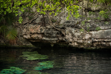 Fototapeta na wymiar Beautiful Cenote Azul natural scene, Mexico