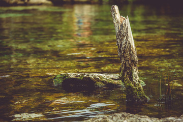 Beautiful Cenote Azul natural scene, Mexico