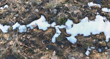  last snow on beautiful field grass