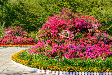 Flower beds on the observation deck near the park: 