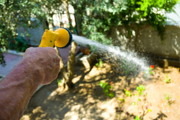 Watering plants with water hose in the beautiful garden. Nature love, taking care, refreshment concept in bright summer. Fresh air. Male pouring water to flowers and grass.