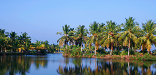Fototapeta na wymiar view on the lush coconut palm trees near to a backwater lake on a background of blue clear sky.beautiful tropical place natural landscape background, kerala india