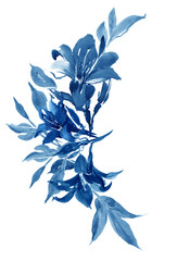 Cobalt Blue Hand Painted Watercolor Illustration  Lilia Flower Clipart  - 324346687