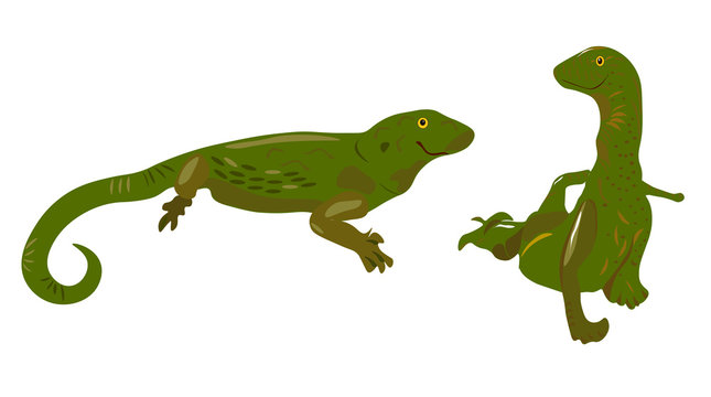 Two green lizards are resting. Vector illustration