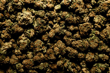 Weed, mariuhana, cannabis, b52