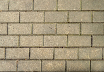 Background paving slabs of gray color.