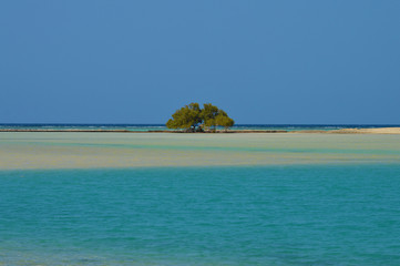 tropical island in clear calm sea in egypt