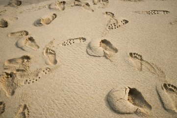 footprints in the sand