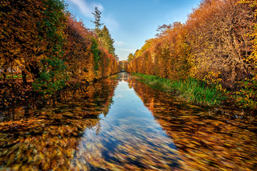 Gdansk, Poland, autumn - fragment of the Oliwa Park in the Gdansk Oliwa district