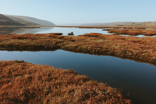 Schooner Bay, Drakes Estero, Point Reyes National Seashore, California,Intertidal wetlands and estuary at dawn, Drakes Estero, Point Reyes National Seashore, California