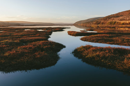 Intertidal estuary with water channels at dusk,Drakes Estero, Point Reyes National Seashore