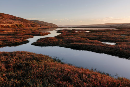 Intertidal estuary at dusk,Drakes Estero, Point Reyes National Seashore