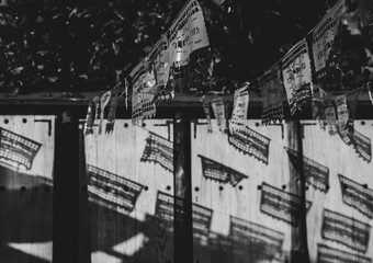 Beautiful open air garden terrace in Mexican town, Todos Santos