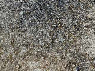 dirty, slightly greenish cement floor with many small stones and unevennesses