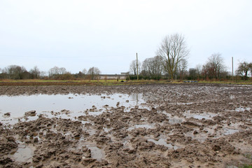 dirty muddy field