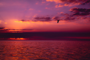 Naklejka premium sunset over sea