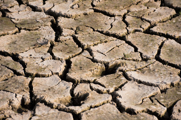 Dried floor texture , drought concept