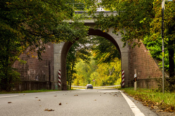 road in the forest