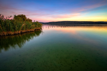Calm lakeside at sunset with natural vegetation on the water.