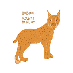 Drawn lynx with text Bobcat wants to play. Childish tee shirt print.